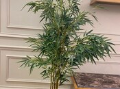 Сдаётся 3-комн. новостройка 100 м², м. 8 ноября, photo 4 from 8