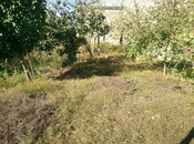 Продаётся 8-комн. дом/дача 350 м², пос. Мамедли, photo 6 from 8