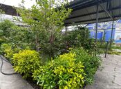 Сдаётся 5-комн. дом/дача 200 м², пос. Новханы, photo 6 from 8