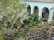 Сдаётся 5-комн. дом/дача 200 м², пос. Новханы, photo 4 from 8