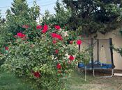 Сдаётся 4-комн. дом/дача 250 м², пос. Новханы, photo 7 from 8