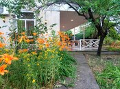 3 otaqlı həyət evi/bağ evi - Şəki - 85 m²