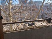 Продаётся 3-комн. вторичка 110 м², м. 28 мая, photo 1 from 8