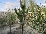 3 otaqlı həyət evi/bağ evi - Ceyranbatan q. - 70 m²