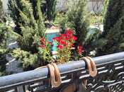 İcarəyə verilir 6 otaqlı həyət evi/bağ evi 320 m², Şüvəlan q., photo 5 from 8