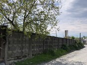 Torpaq - Zaqatala - 42 sot