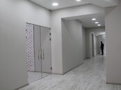 Сдаётся  объект 378 м², м. Насими, photo 8 from 8