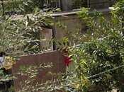 Продаётся  участок 7.5 сот, пос. М. Расулзаде, photo 3 from 8