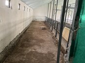 Продаётся  объект 700 м², photo 8 from 8