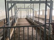 Продаётся  объект 700 м², photo 6 from 8