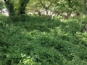 Участок - Гусар - 9 сот