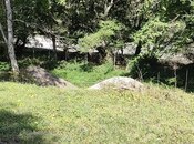 Участок - Гусар - 9 сот