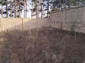 Продаётся  участок 8 сот, пос. Горадил, photo 8 from 8
