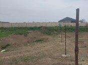 Torpaq - Quba - 31.5 sot