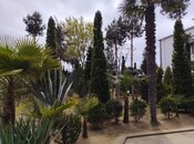 8 otaqlı həyət evi/bağ evi - Şüvəlan q. - 200 m²