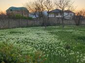 Satılır  torpaq 10 sot, Saray q., photo 5 from 8