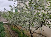 6 otaqlı həyət evi/bağ evi - Şüvəlan q. - 214 m²
