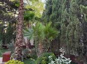 İcarəyə verilir 6 otaqlı həyət evi/bağ evi 295 m², Mərdəkan q., photo 2 from 8