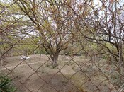 Участок - пос. Рамана - 6 сот