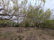 Участок - пос. Рамана - 6 сот