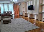 4 otaqlı yeni tikili - Şah İsmayıl Xətai m. - 230 m²