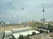 Продаётся 4-комн. новостройка 158 м², пос. Бадамдар, photo 8 from 8