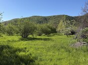 Продаётся  участок 70 сот, photo 1 from 8