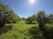 Продаётся  участок 70 сот, photo 6 from 8