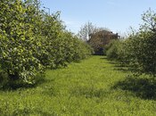 Продаётся  участок 70 сот, photo 4 from 8
