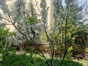 İcarəyə verilir 1 otaqlı həyət evi/bağ evi 37 m², Əhmədli m., photo 8 from 8