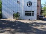 Obyekt - Salyan - 675 m²