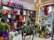Obyekt - Şah İsmayıl Xətai m. - 15 m²