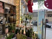 Obyekt - Şah İsmayıl Xətai m. - 15 m²