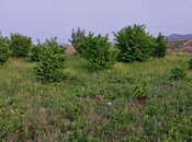 Torpaq - Ağstafa - 121 sot