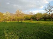 Obyekt - Zaqatala - 3200 m²