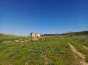 Obyekt - Hacıqabul - 1000 m²