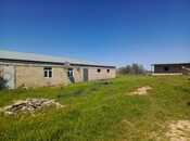 Obyekt - Hacıqabul - 1000 m²