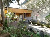 Obyekt - Xalqlar Dostluğu m. - 290 m²