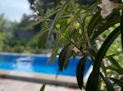 3 otaqlı həyət evi/bağ evi - Nardaran q. - 950 m²