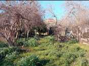 Satılır 5 otaqlı həyət evi/bağ evi 114 m², M.Ə.Rəsulzadə q., photo 8 from 8