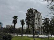 Satılır 3 otaqlı yeni tikili 189 m², Nizami m., photo 3 from 8