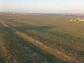 Продаётся  участок 22 сот, пос. Мамедли, photo 2 from 2