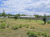 Участок - Габала - 6.7 сот