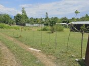 Участок - Габала - 6.7 сот