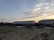 İcarəyə verilir  torpaq 130 sot, Keşlə q., photo 8 from 8