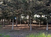 Сдаётся  участок 52 сот, пос. Биладжары, photo 4 from 8