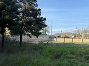 Сдаётся  участок 52 сот, пос. Биладжары, photo 2 from 8