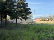 Сдаётся  участок 52 сот, пос. Биладжары, photo 3 from 8