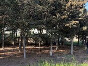 Сдаётся  участок 52 сот, пос. Биладжары, photo 6 from 8