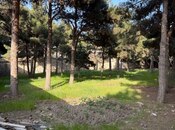 Сдаётся  участок 52 сот, пос. Биладжары, photo 7 from 8
